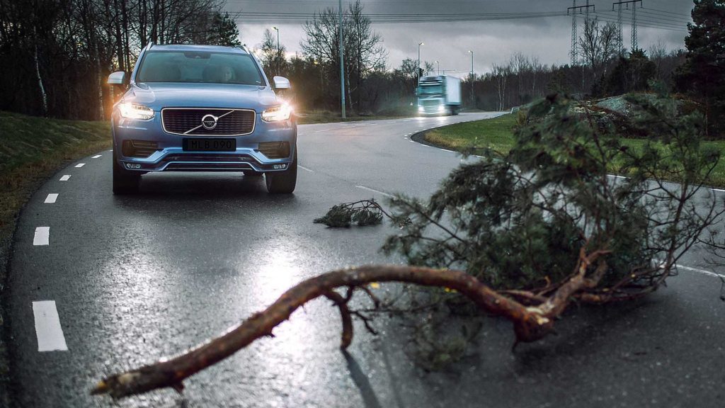 Volvo driver assist system warns of a downed tree branch.
